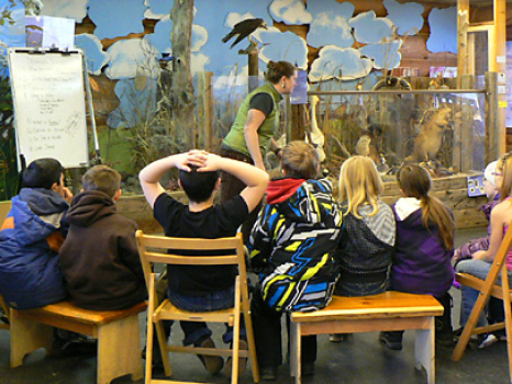 Children are engaged in a lesson at Scout Island Nature Centre.